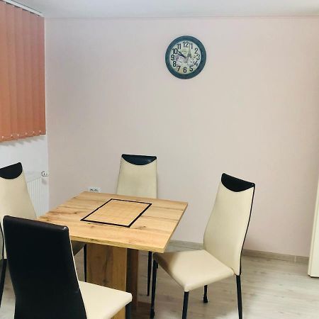 Central Park - Big Apartment - 3 Rooms - Free Parking T5 Timişoara Eksteriør bilde