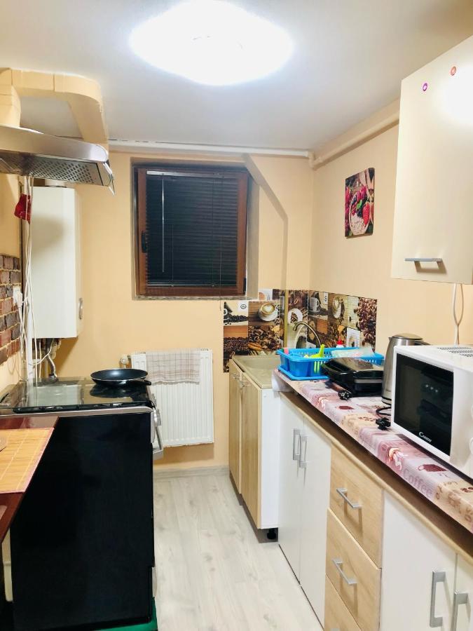 Central Park - Big Apartment - 3 Rooms - Free Parking T5 Timişoara Eksteriør bilde