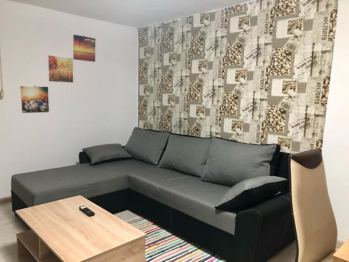 Central Park - Big Apartment - 3 Rooms - Free Parking T5 Timişoara Eksteriør bilde