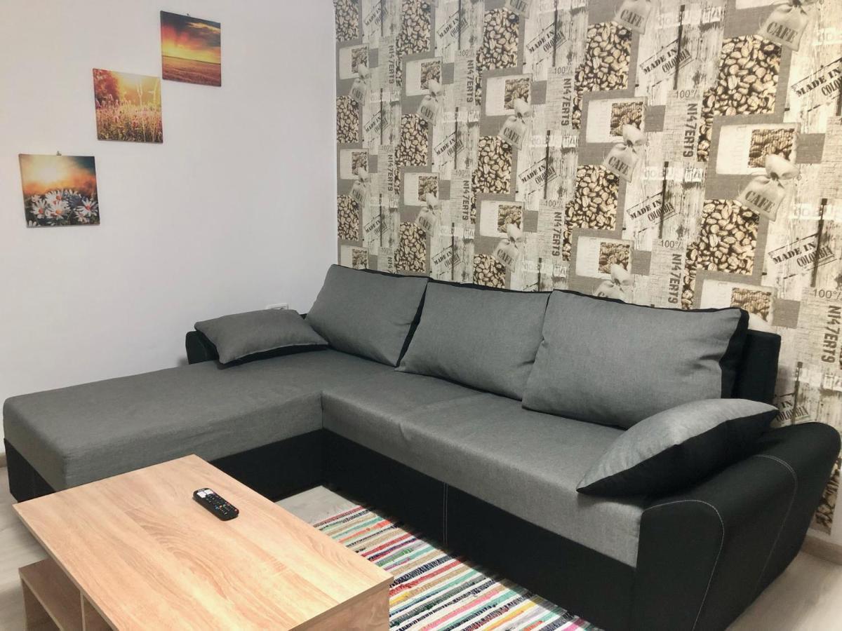 Central Park - Big Apartment - 3 Rooms - Free Parking T5 Timişoara Eksteriør bilde