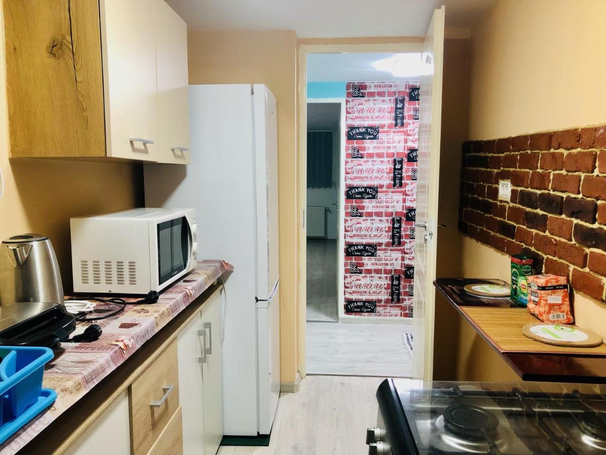 Central Park - Big Apartment - 3 Rooms - Free Parking T5 Timişoara Eksteriør bilde